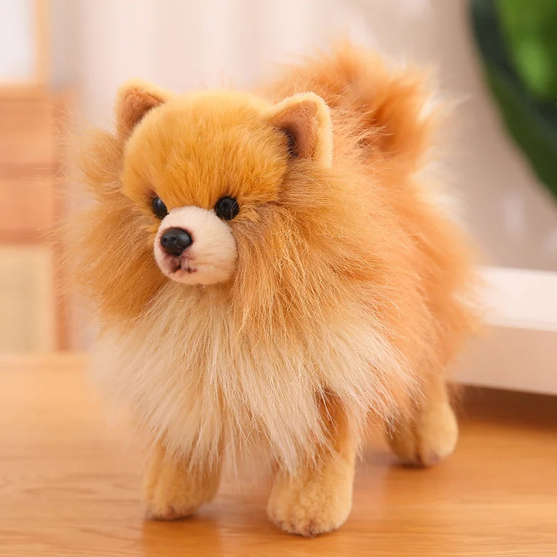 Peluche Chien Loulou de Poméranie – Animal en Peluche Réaliste pour Enfants Animaux en peluche et jouets en peluche Electro Paris Marron