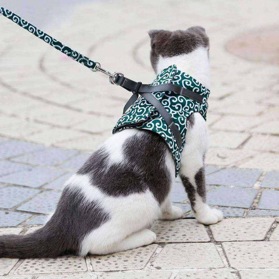 Harnais Pour Chat Anti-Fuite Avec Laisse Assortie Pour Balades Sécurisées Et Confort Optimal Pet harness Electro Paris Vert XS