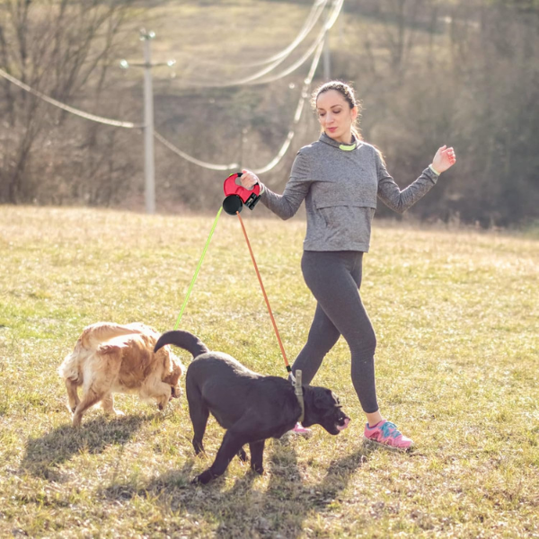 Laisse Rétractable Double pour Chien – LED Intégrée et Distributeur de Sacs Electro Paris