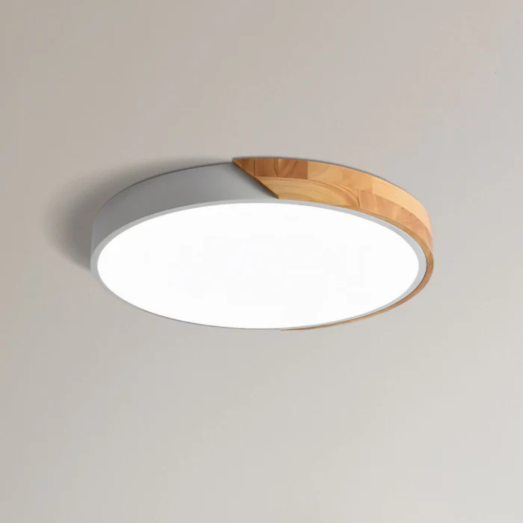 Plafonnier LED Minimaliste au Style Nordique Ceiling Lamp Electro Paris Blanc D23 cm (12w) Standard