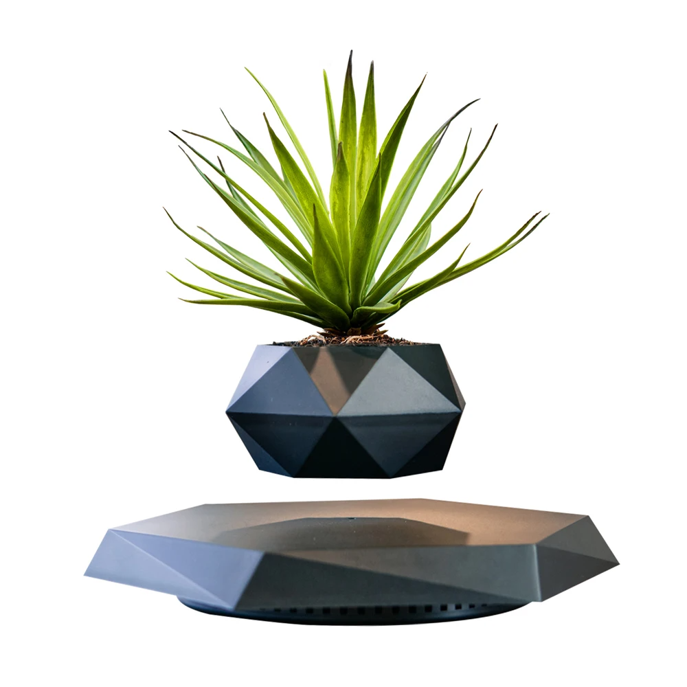 Pot de Fleur Lévitant avec Rotation pour une Décoration Moderne Pots décoratifs Electro Paris Onyx noir