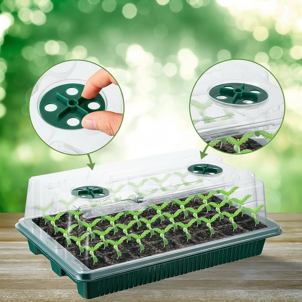 Plateaux Germinateurs À Dôme Haut Avec Lumières LED Pour Jardinage Intérieur Et Début Des Semis Seed tray Electro Paris