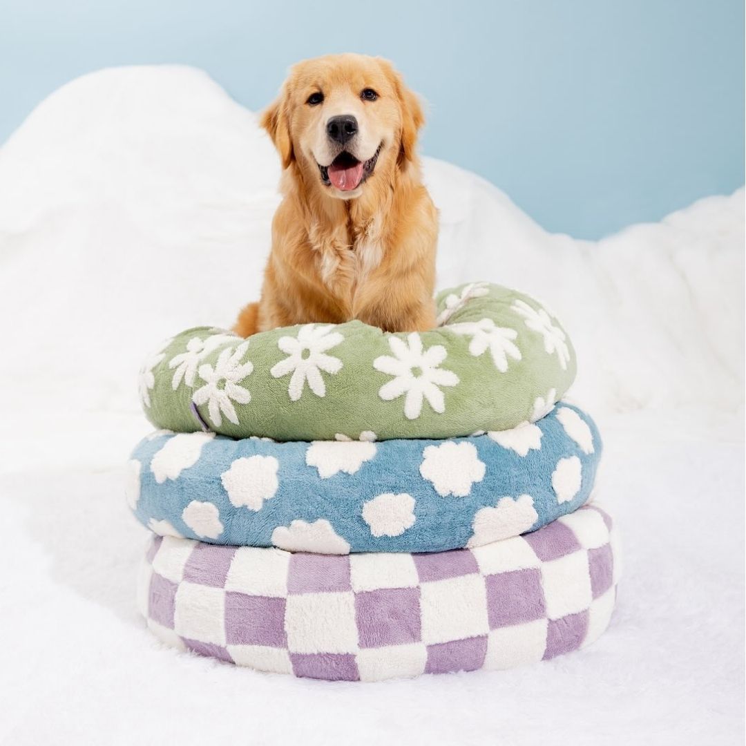 Quality Round Donut Dog Bed – Lit Rond Douillet Pour Chiens Et Chats Pour Détente Ultime Et Confort Apaisant Quality Round Donut Dog Bed Electro Paris