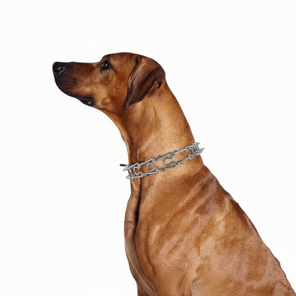 Collier pour Chien Résistant avec Fermeture Rapide – Contrôle Anti-Traction et Confort Quotidien Training, Choke & Pinch Collars Electro Paris