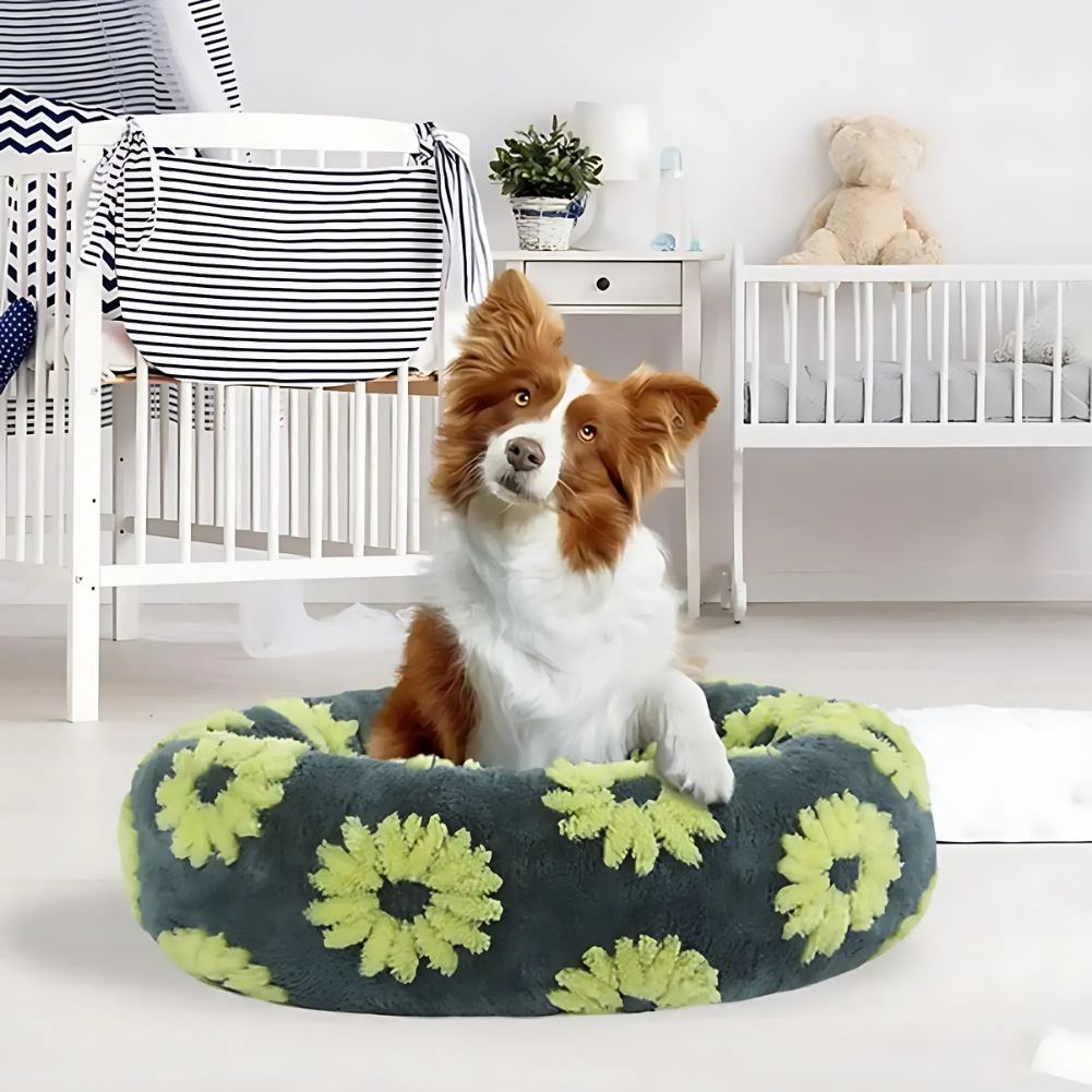 Quality Round Donut Dog Bed – Lit Rond Douillet Pour Chiens Et Chats Pour Détente Ultime Et Confort Apaisant Quality Round Donut Dog Bed Electro Paris