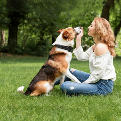 Collier De Dressage Pour Chien Avec Télécommande Étendue Et Modes Personnalisables Pet collar Electro Paris