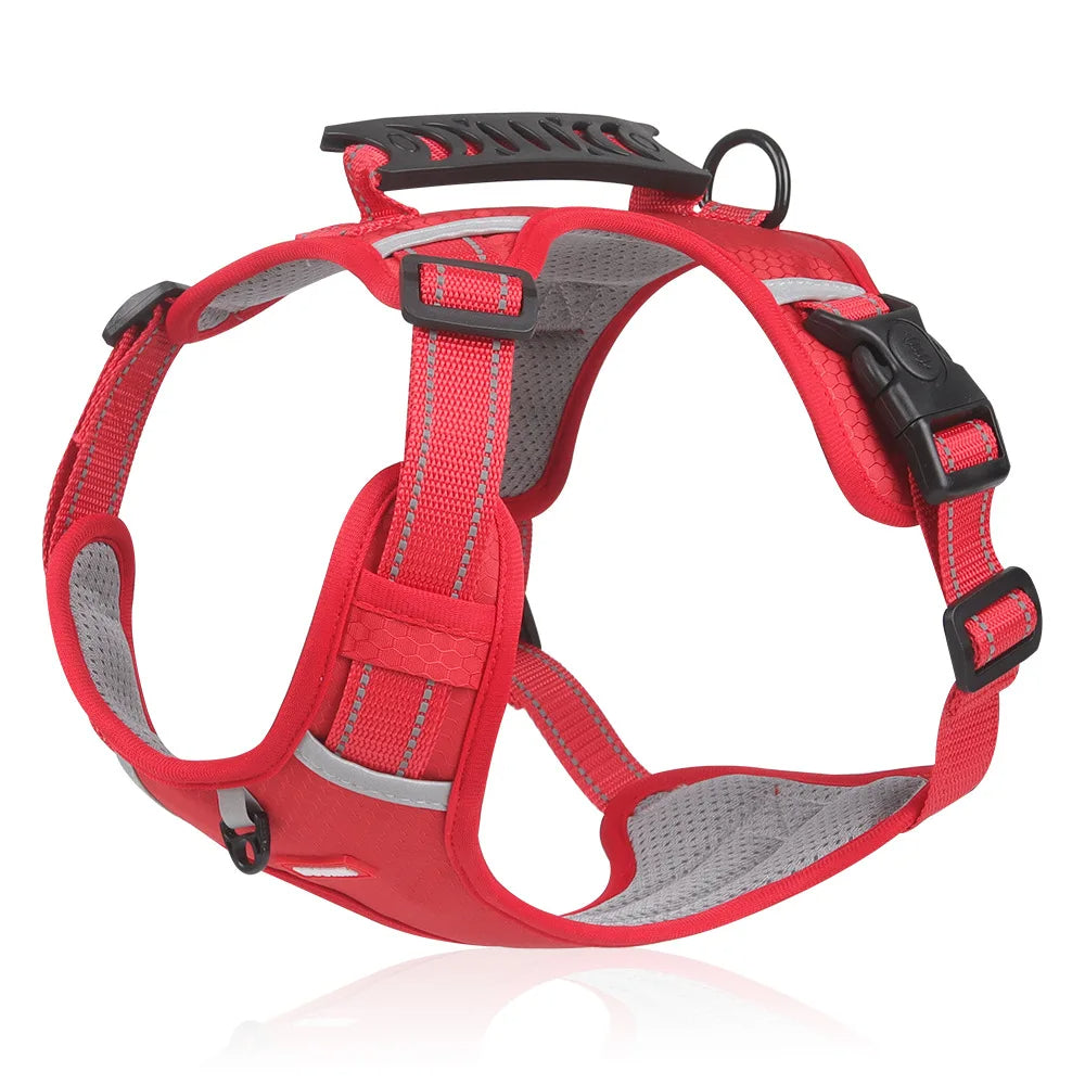 Harnais Pour Chien Confortable Et Sécurisé Pour Des Balades Sans Stress Harnesses Electro Paris Rouge XS (2.5-5 KG)