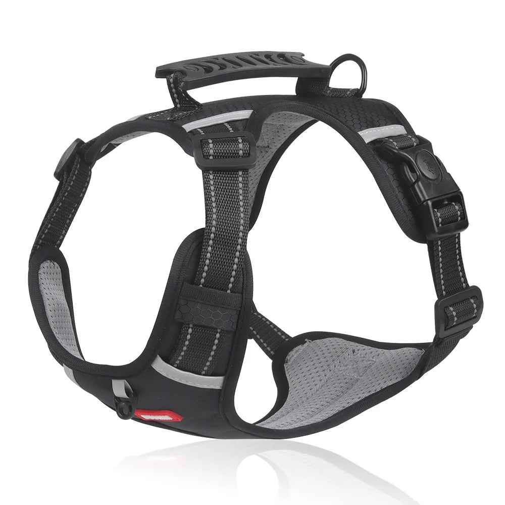 Harnais Pour Chien Confortable Et Sécurisé Pour Des Balades Sans Stress Harnesses Electro Paris Noir XS (2.5-5 KG)
