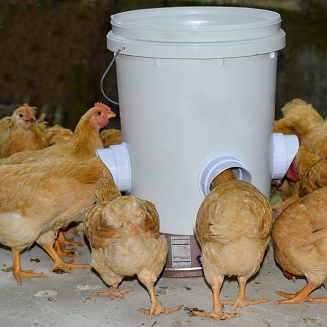 Mangeoire pour Poulets DIY Robuste Et Polyvalente Pour Volaille Et Petits Animaux Chicken feeder Electro Paris