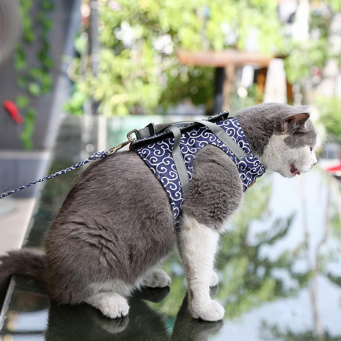 Harnais Pour Chat Anti-Fuite Avec Laisse Assortie Pour Balades Sécurisées Et Confort Optimal Pet harness Electro Paris