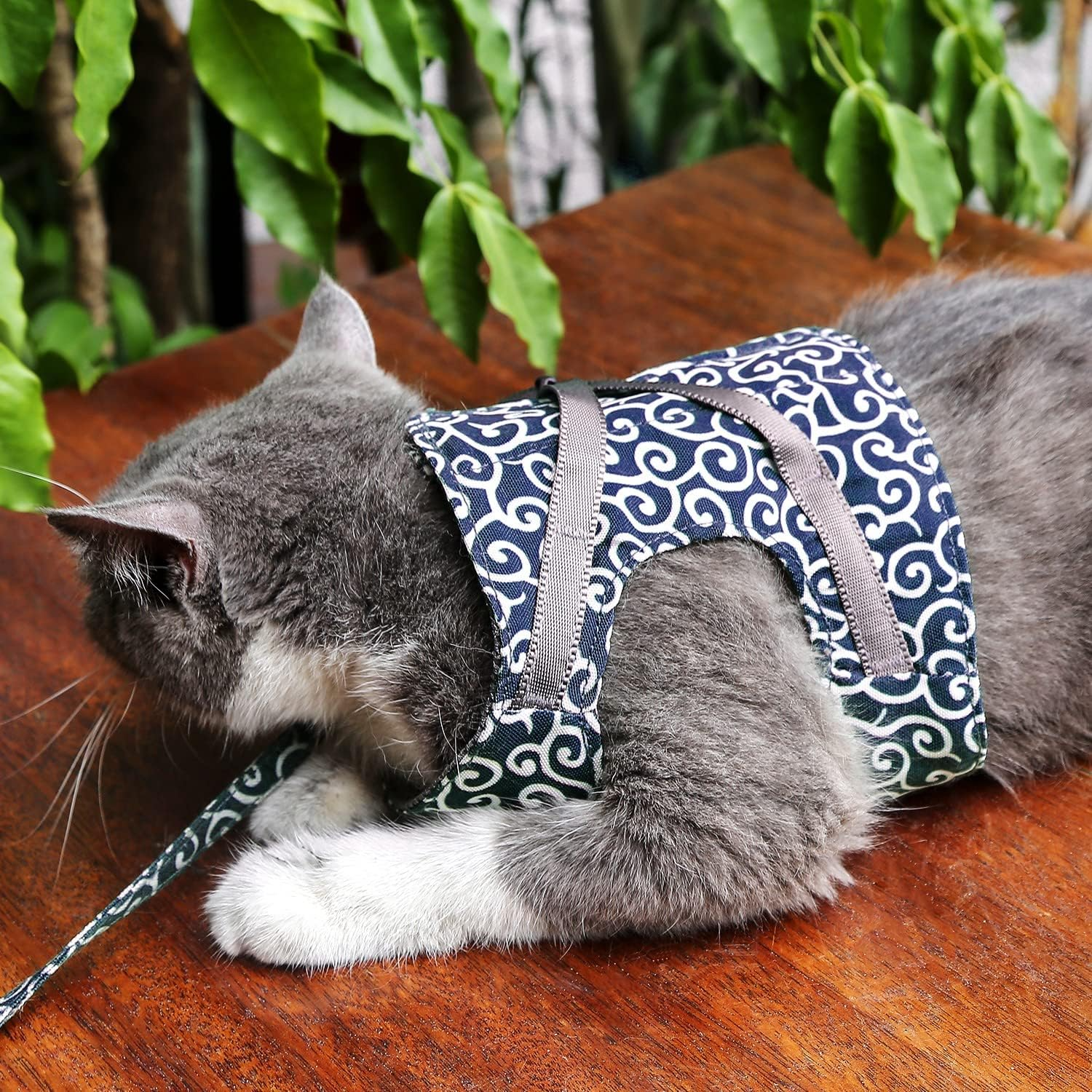 Harnais Pour Chat Anti-Fuite Avec Laisse Assortie Pour Balades Sécurisées Et Confort Optimal Pet harness Electro Paris