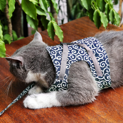 Harnais Pour Chat Anti-Fuite Avec Laisse Assortie Pour Balades Sécurisées Et Confort Optimal Pet harness Electro Paris