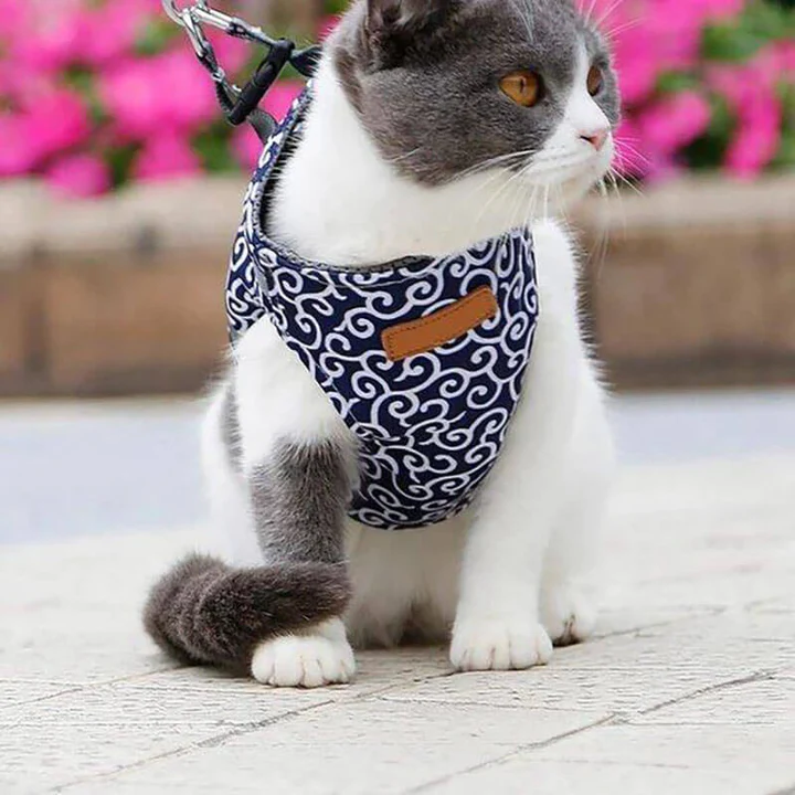 Harnais Pour Chat Anti-Fuite Avec Laisse Assortie Pour Balades Sécurisées Et Confort Optimal Pet harness Electro Paris
