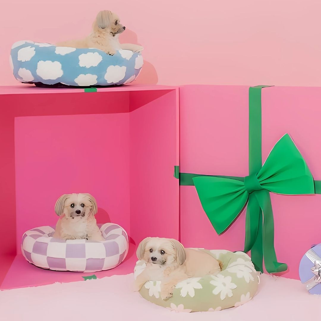 Quality Round Donut Dog Bed – Lit Rond Douillet Pour Chiens Et Chats Pour Détente Ultime Et Confort Apaisant Quality Round Donut Dog Bed Electro Paris