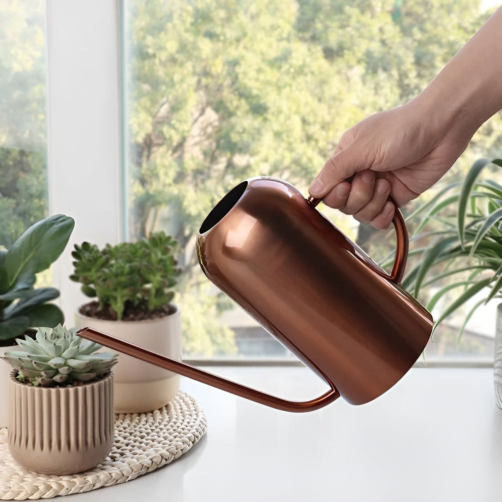 Arrosoir en Acier Inoxydable – 1,5 L avec Bec Long pour un Arrosage Précis et Élégant Fournitures de jardin Electro Paris
