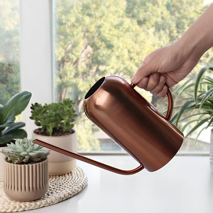 Arrosoir en Acier Inoxydable – 1,5 L avec Bec Long pour un Arrosage Précis et Élégant Fournitures de jardin Electro Paris