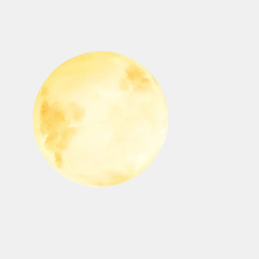 Boules Lunaires Solaires Étanches pour Paysages Extérieurs Lampadaire Electro Paris Solaire Ø 20 cm