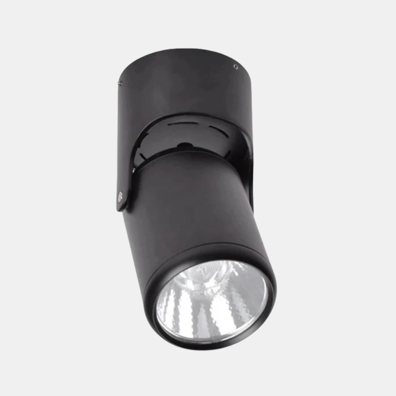 Spot LED Directionnel – Métal Noir ou Blanc, 10W/20W pour Plafond Intérieur Éclairage Electro Paris Noir - 10W