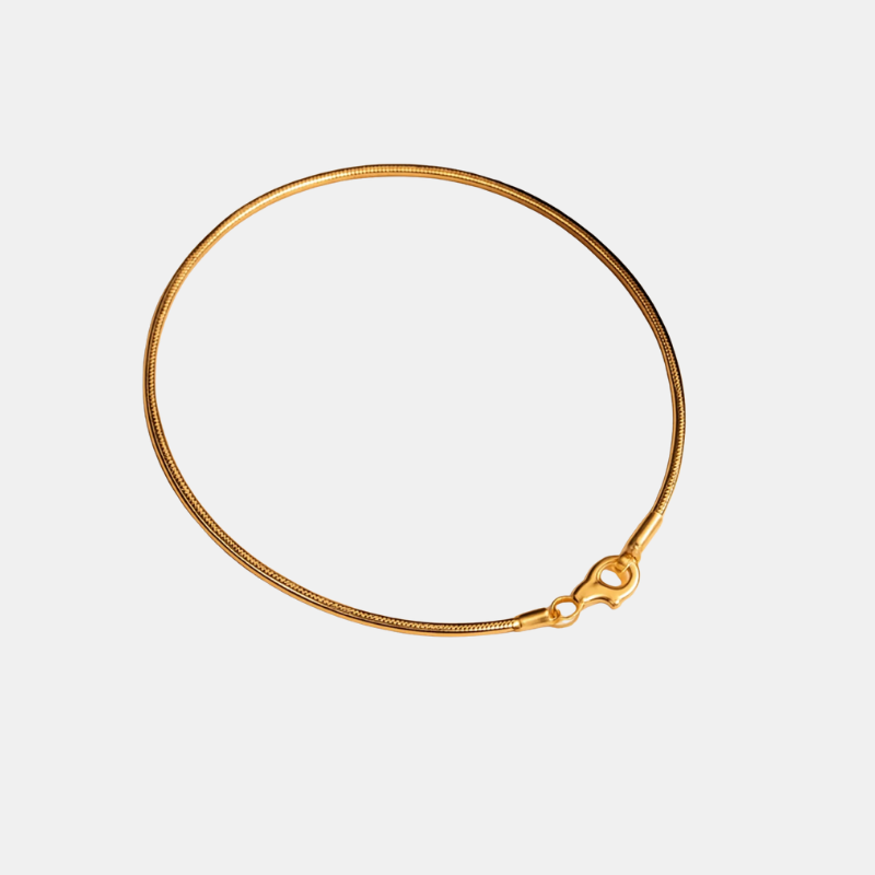 Bracelet Minimaliste à Fermoir Serpent pour une Élégance Moderne Jewelry Bracelet Circle Electro Paris Or 16.5 cm