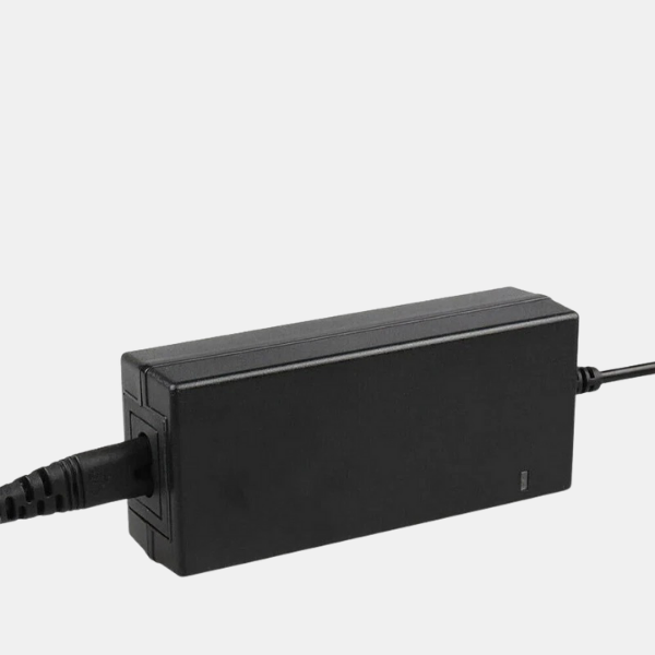 Chargeur Universel pour Vélo Électrique – Recharge Facile Universal Electric Bicycle Charger Electro Paris
