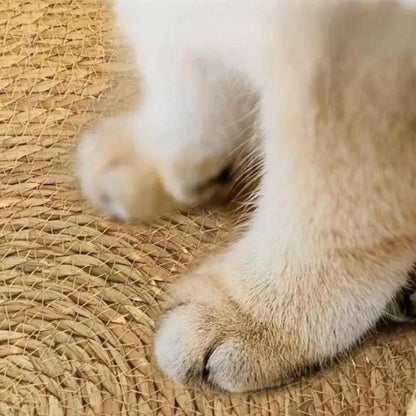 Lit Confort Douillet Pour Chat Avec Coussin Ultra Moelleux Et Panier Tressé Naturel Pet bed Electro Paris