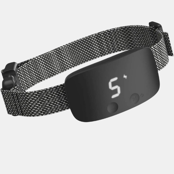 Collier Anti-Aboiement – Dressage Automatique pour Chien Pet Accessories Electro Paris Noir
