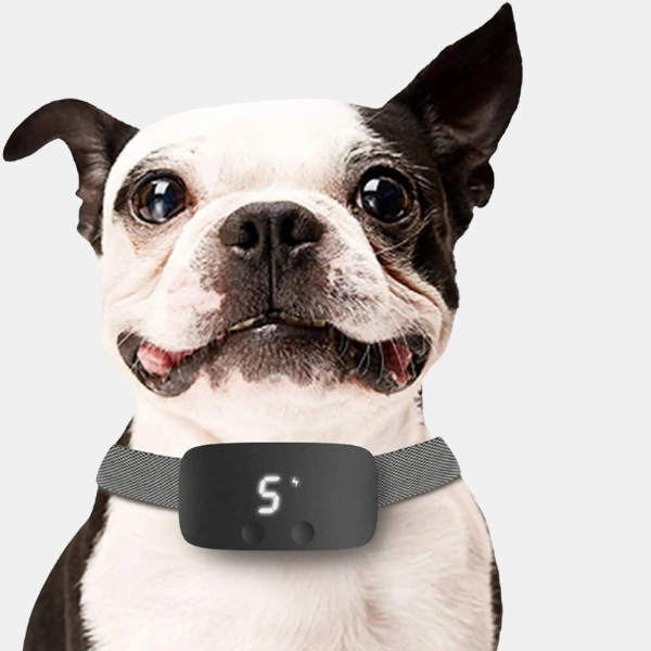 Collier Anti-Aboiement – Dressage Automatique pour Chien Pet Accessories Electro Paris