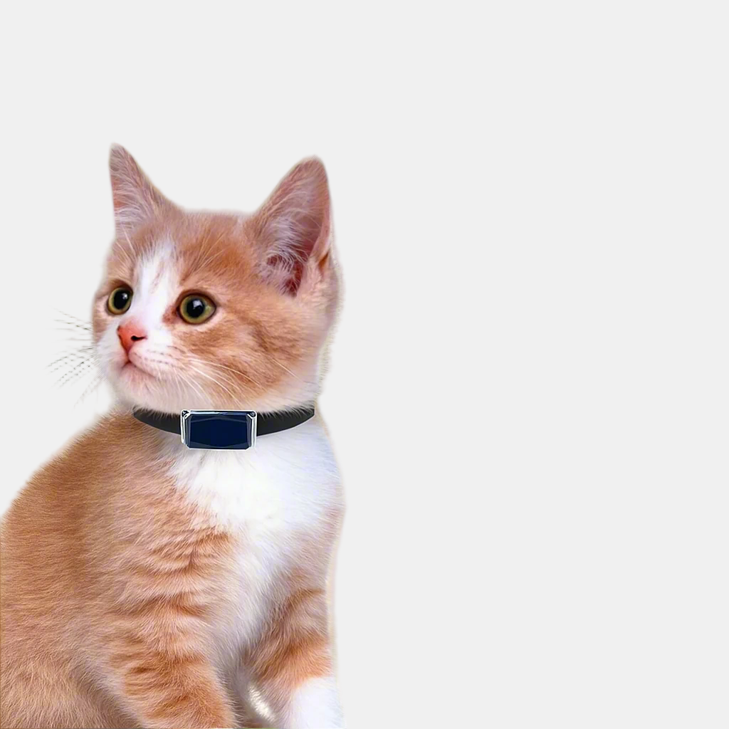Collier GPS Pour Chat Léger – Suivi Temps Réel Via Application Mobile Colliers GPS Electro Paris Default