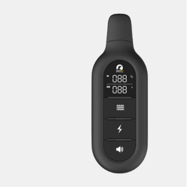 Collier de Dressage pour Chien avec Télécommande – Collier Étanche pour Petits et Grands Chiens Colliers de dressage électroniques Electro Paris PD 521 avec manchon TPU