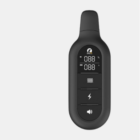 Collier de Dressage pour Chien avec Télécommande – Collier Étanche pour Petits et Grands Chiens Colliers de dressage électroniques Electro Paris PD 521 avec manchon TPU