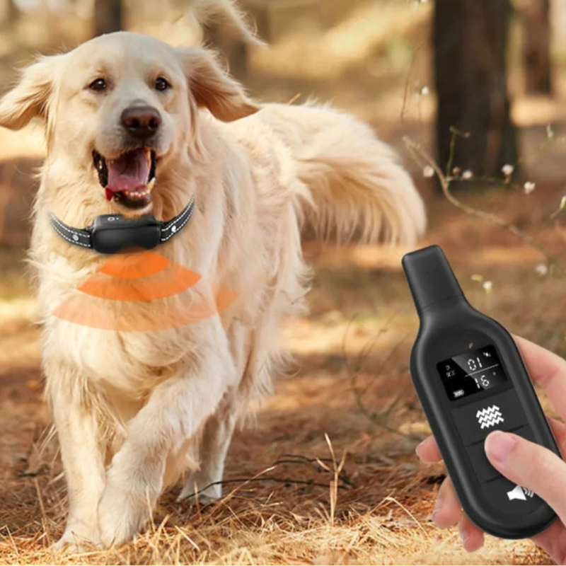 Collier de Dressage pour Chien avec Télécommande – Collier Étanche pour Petits et Grands Chiens Colliers de dressage électroniques Electro Paris