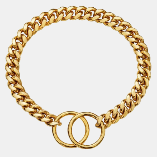 Collier pour Chien en Chaîne d’Acier Inoxydable Electro Paris Or 28 pouces (71 cm)