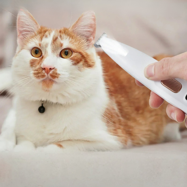 Coupe-Griffes Sécurisé – Tranquillité et Confort pour Votre Animal Electro Paris