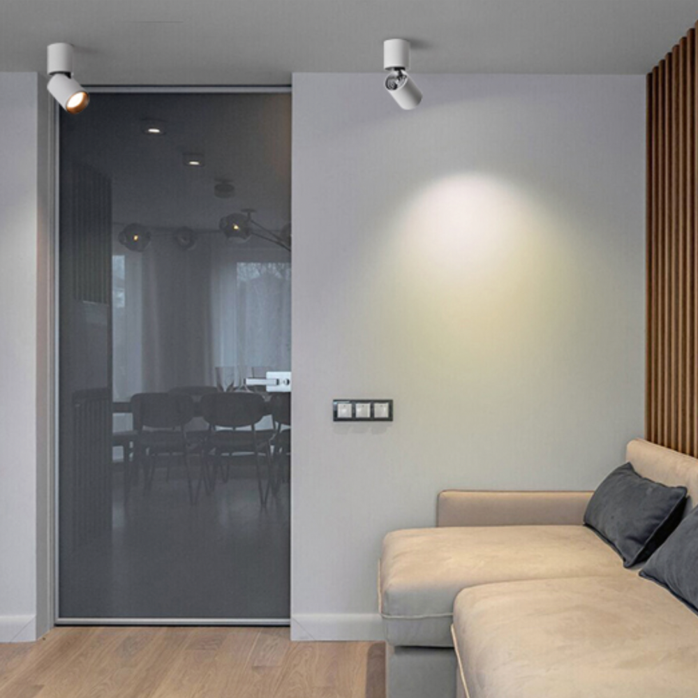 Cylindre Spot LED Orientable – Aluminium Brossé, Éclairage Économique et Flexible Éclairage Electro Paris