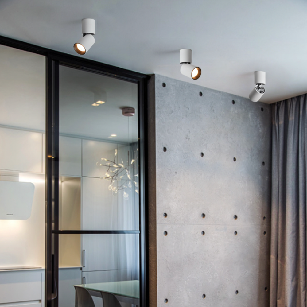 Cylindre Spot LED Orientable – Aluminium Brossé, Éclairage Économique et Flexible Éclairage Electro Paris