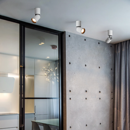 Cylindre Spot LED Orientable – Aluminium Brossé, Éclairage Économique et Flexible Éclairage Electro Paris