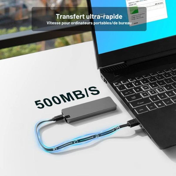 Disque SSD Externe Pour Usage Pro Sandsberg032517 Electro Paris