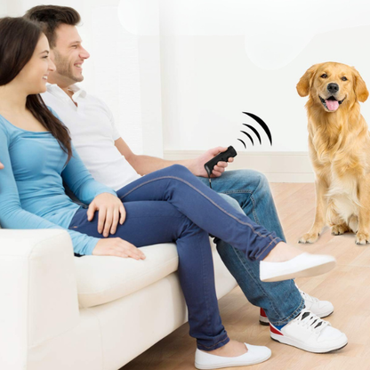 Appareil Ultrasonique Anti-Aboiement Pour Chiens – Dispositif Doux et Efficace de Contrôle des Aboiements Pets Electro Paris