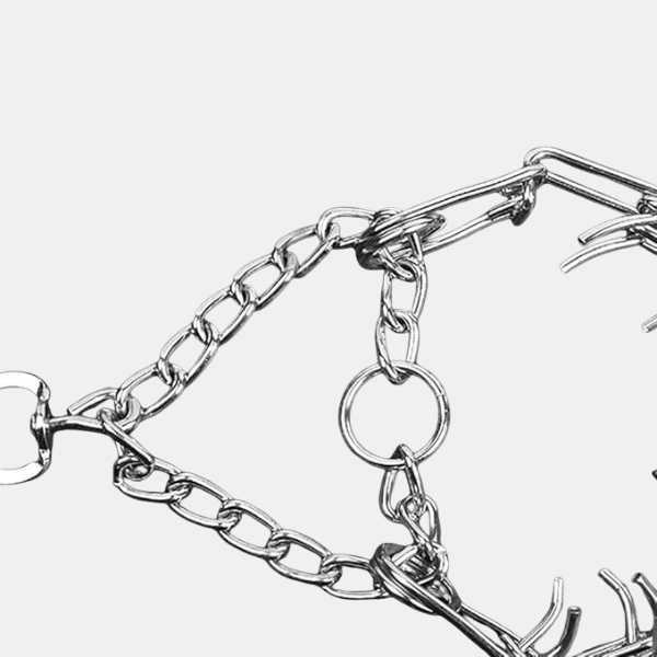 Collier à Piquants pour Chien – Contrôle d’Entraînement Ajustable & Sécurité Pet Accessories Electro Paris