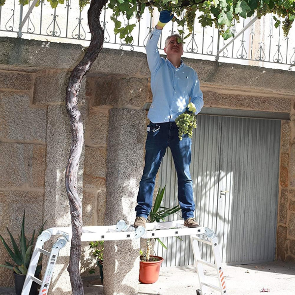 Échelle Pliable Polyvalente – Hauteur Pratique avec Rangement Compact Tools Electro Paris