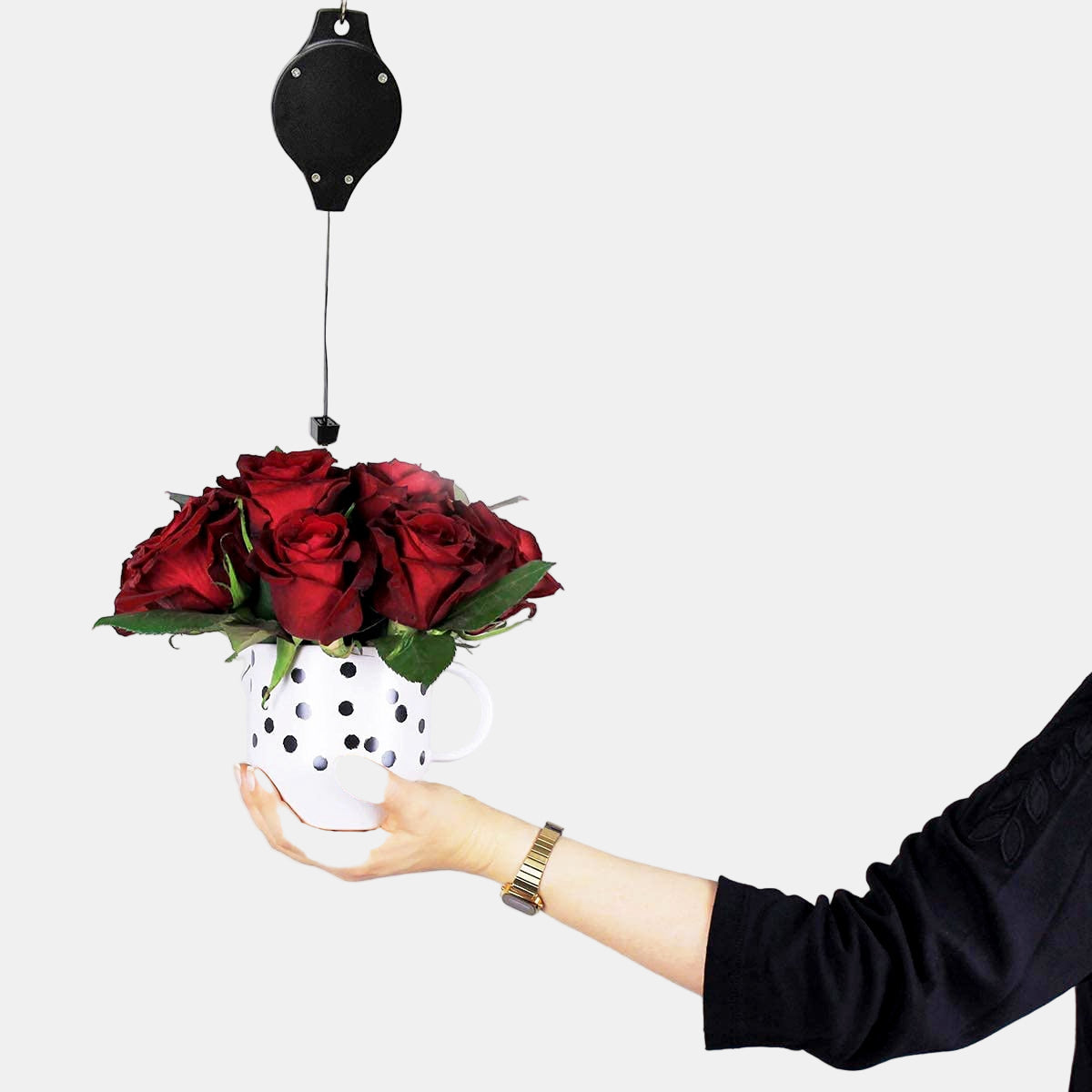 Ensemble de Poulies de Plantes Suspendues – Système de Levage Pratique pour Jardin Fournitures de jardin Electro Paris