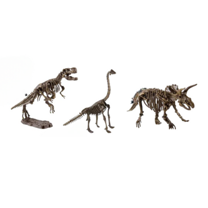 Kit de Fouille de Fossiles de Dinosaures pour Enfants – Jouet Éducatif STEM avec Squelette Jouets de science et de nature Electro Paris Ensemble de dinosaures