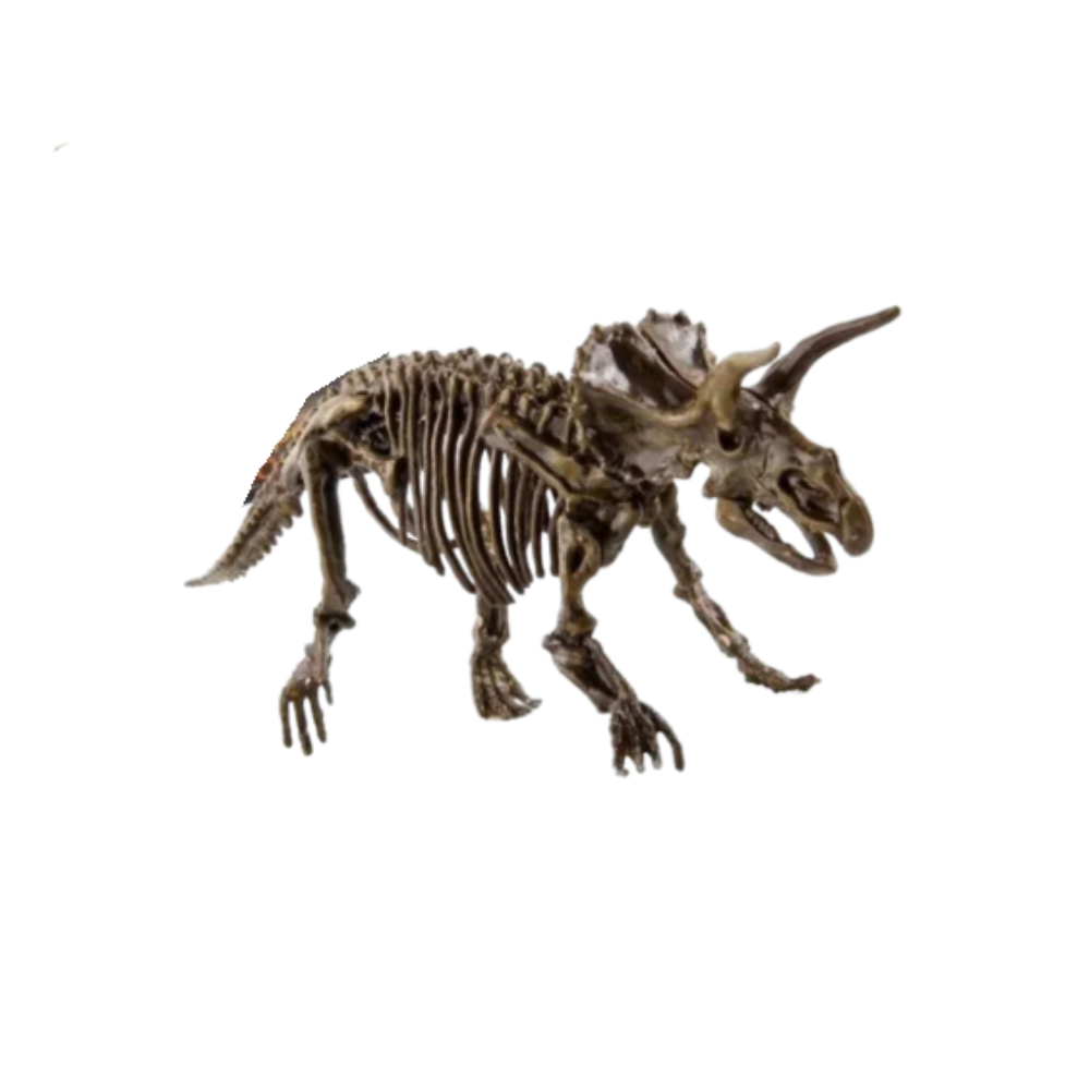 Kit de Fouille de Fossiles de Dinosaures pour Enfants – Jouet Éducatif STEM avec Squelette Jouets de science et de nature Electro Paris Tricératops