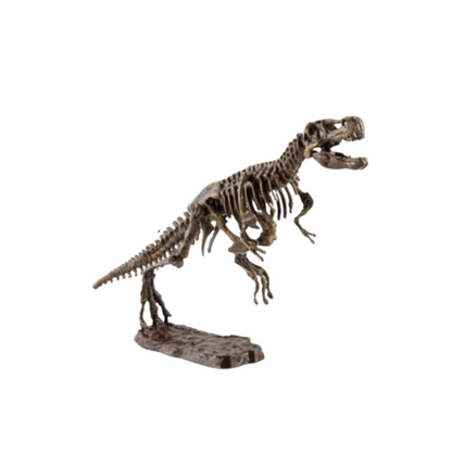 Kit de Fouille de Fossiles de Dinosaures pour Enfants – Jouet Éducatif STEM avec Squelette Jouets de science et de nature Electro Paris T-REX