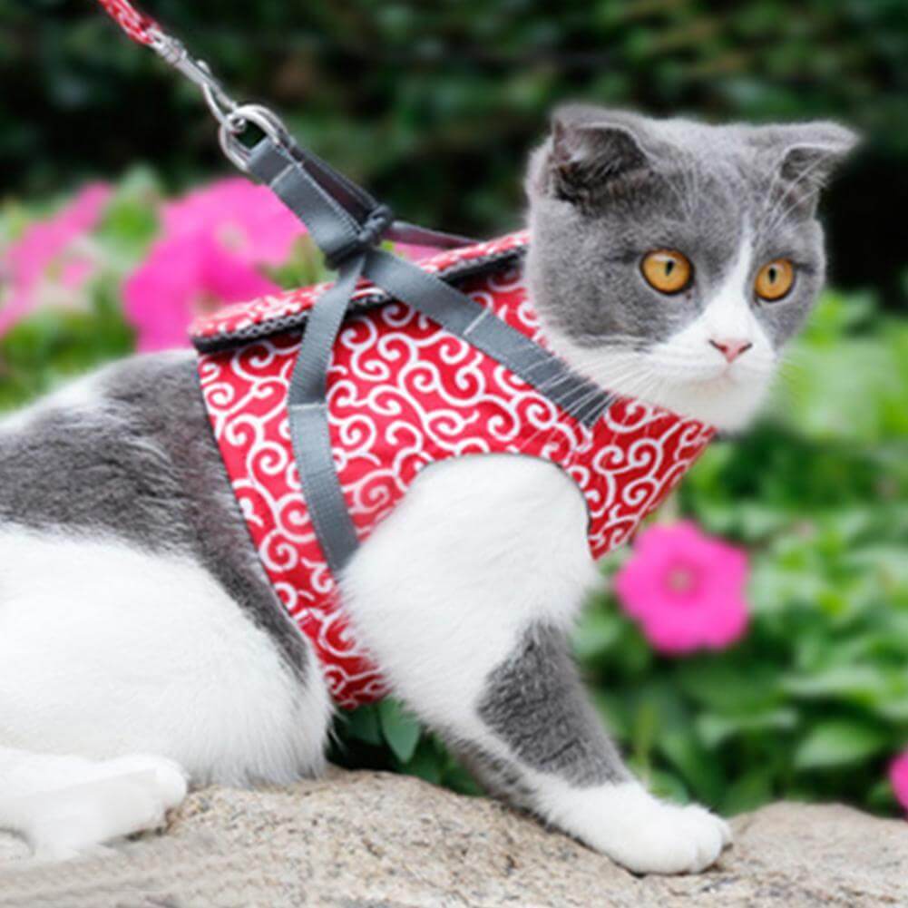 Harnais Pour Chat Anti-Fuite Avec Laisse Assortie Pour Balades Sécurisées Et Confort Optimal Pet harness Electro Paris Rouge XS