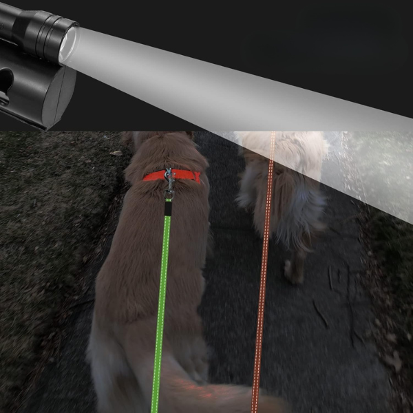 Laisse Rétractable Double pour Chien – LED Intégrée et Distributeur de Sacs Electro Paris
