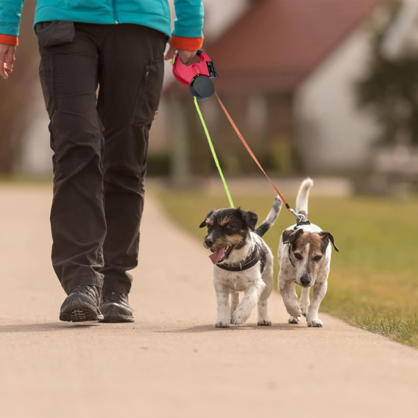 Laisse Rétractable Double pour Chien – LED Intégrée et Distributeur de Sacs Electro Paris