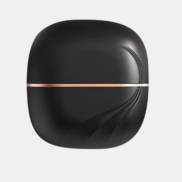 Lisseur de Voyage Compact – Mini Lissage Sécurisé Anti-Brûlure Electro Paris Noir