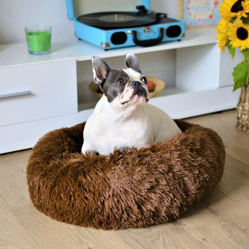 Lit Donut Douillet pour Chiens et Chats – Panier Apaisant Rond en Peluche Lits pour animaux de compagnie Electro Paris Café 50 CM