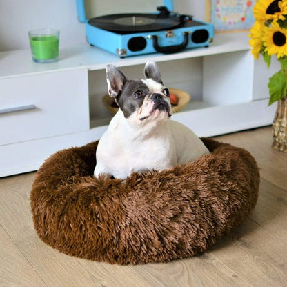 Lit Donut Douillet pour Chiens et Chats – Panier Apaisant Rond en Peluche Lits pour animaux de compagnie Electro Paris Café 50 CM